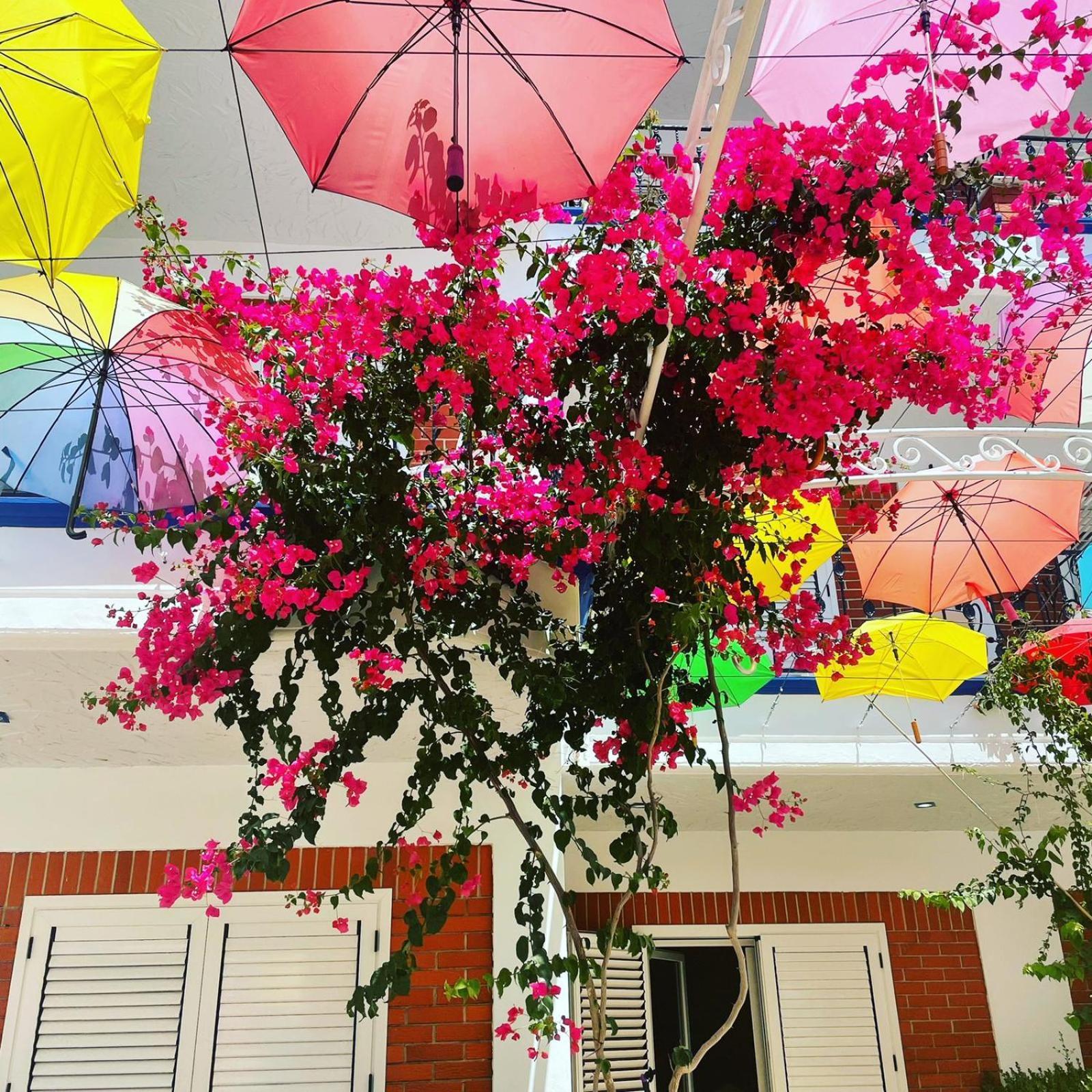 Exclusive Greccia Inn เดอร์มี ภายนอก รูปภาพ